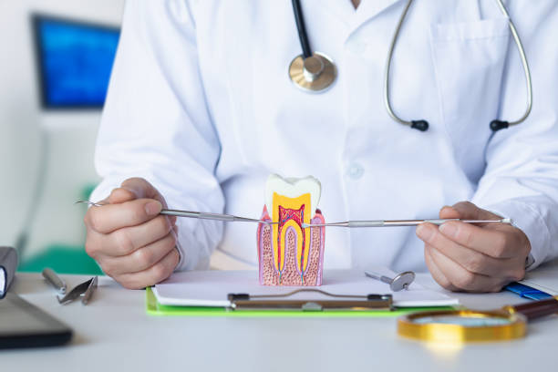 Best Broken Tooth Emergency  in State College, PA